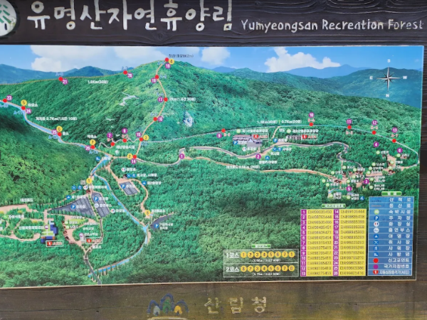 유명산자연휴양림