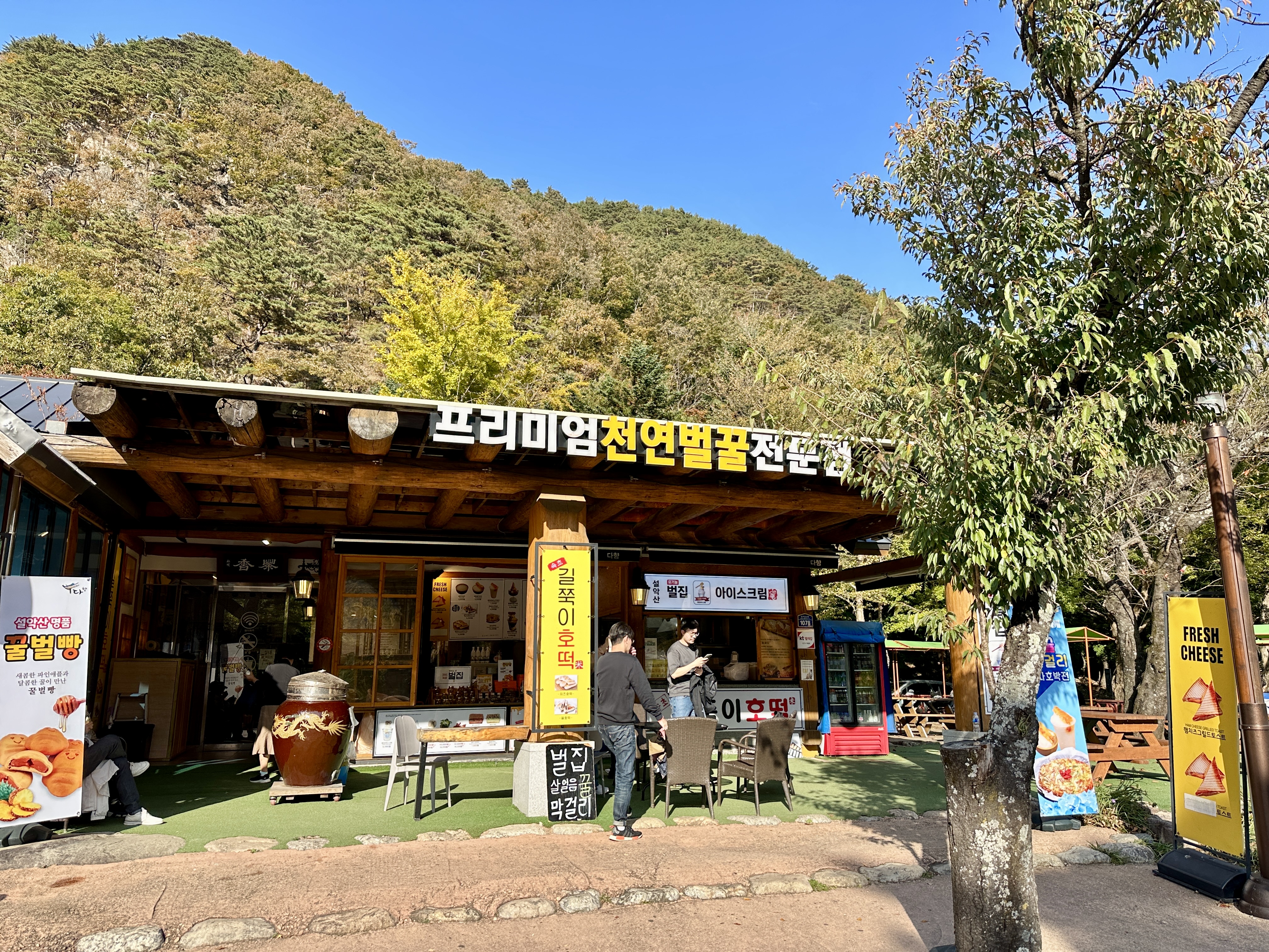 프리미엄 천연벌꿀 전문점