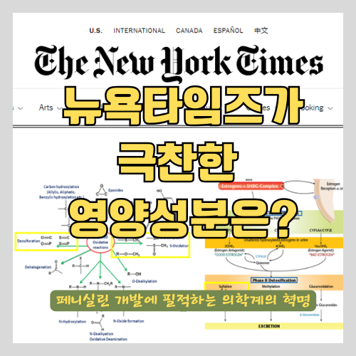 약사가 알려주는 만성 통증에 좋은 영양 성분 - MSM 식이유황의 효능과 원리 썸네일