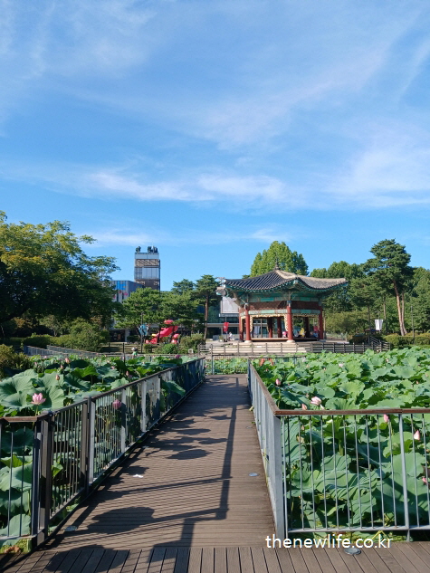 Wooden bridge over lotus pond with traditional Korean pavilion at Children&rsquo;s Grand Park/서울 어린이대공원 연못 위 나무 다리와 전통 정자 풍경