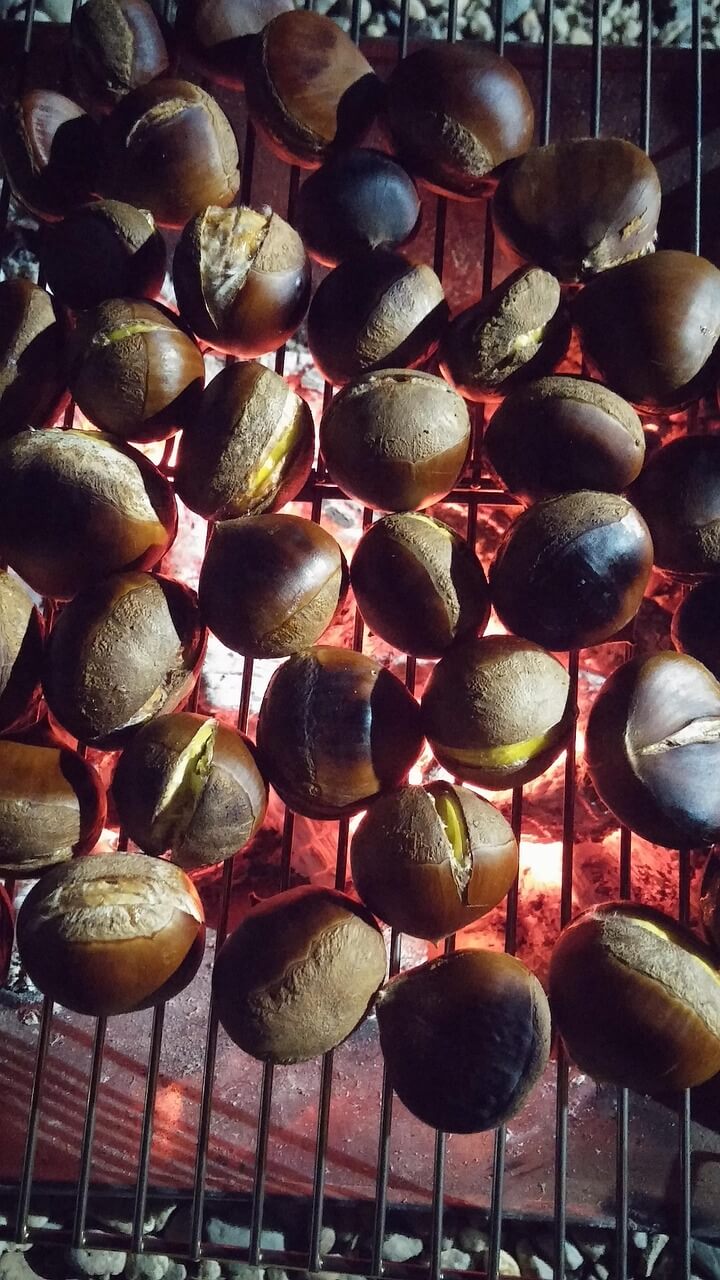 가을 제철 채소 6가지 – 효능부터 요리법까지 한눈에 정리