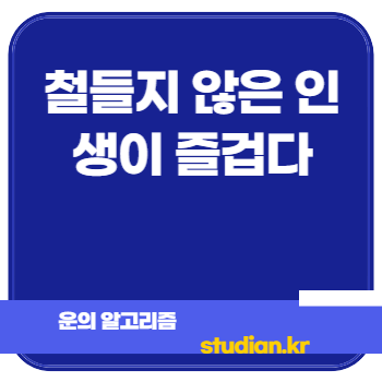 철들지 않은 인생이 즐겁다