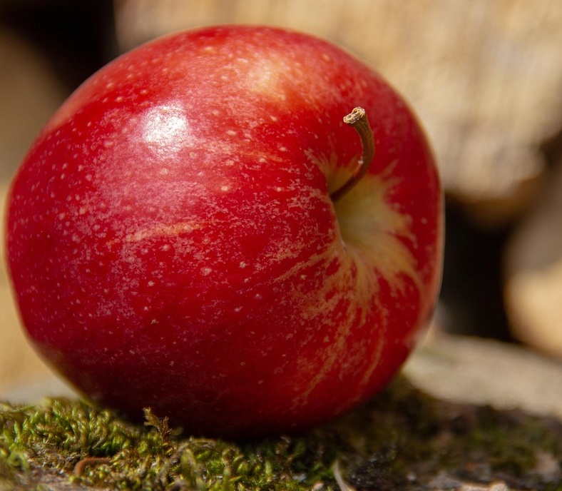 사과식초 부작용, 제대로 알고 드세요