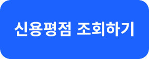 소액 생계비 대출