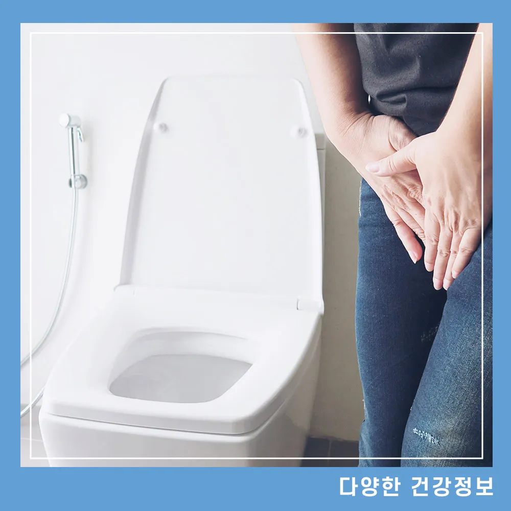 방광염 증상 원인 좋은 음식