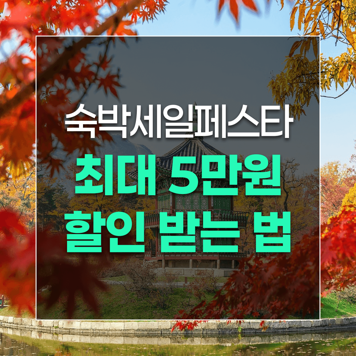 숙박세일페스타 최대 5만원 할인 받는 법