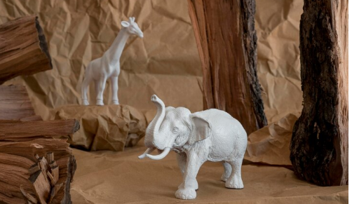 동물 이름의 기원 유래 알아보기