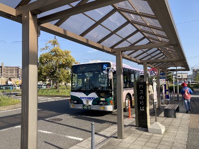 일본 나고야 나바나노사토 방문 후기/가는법