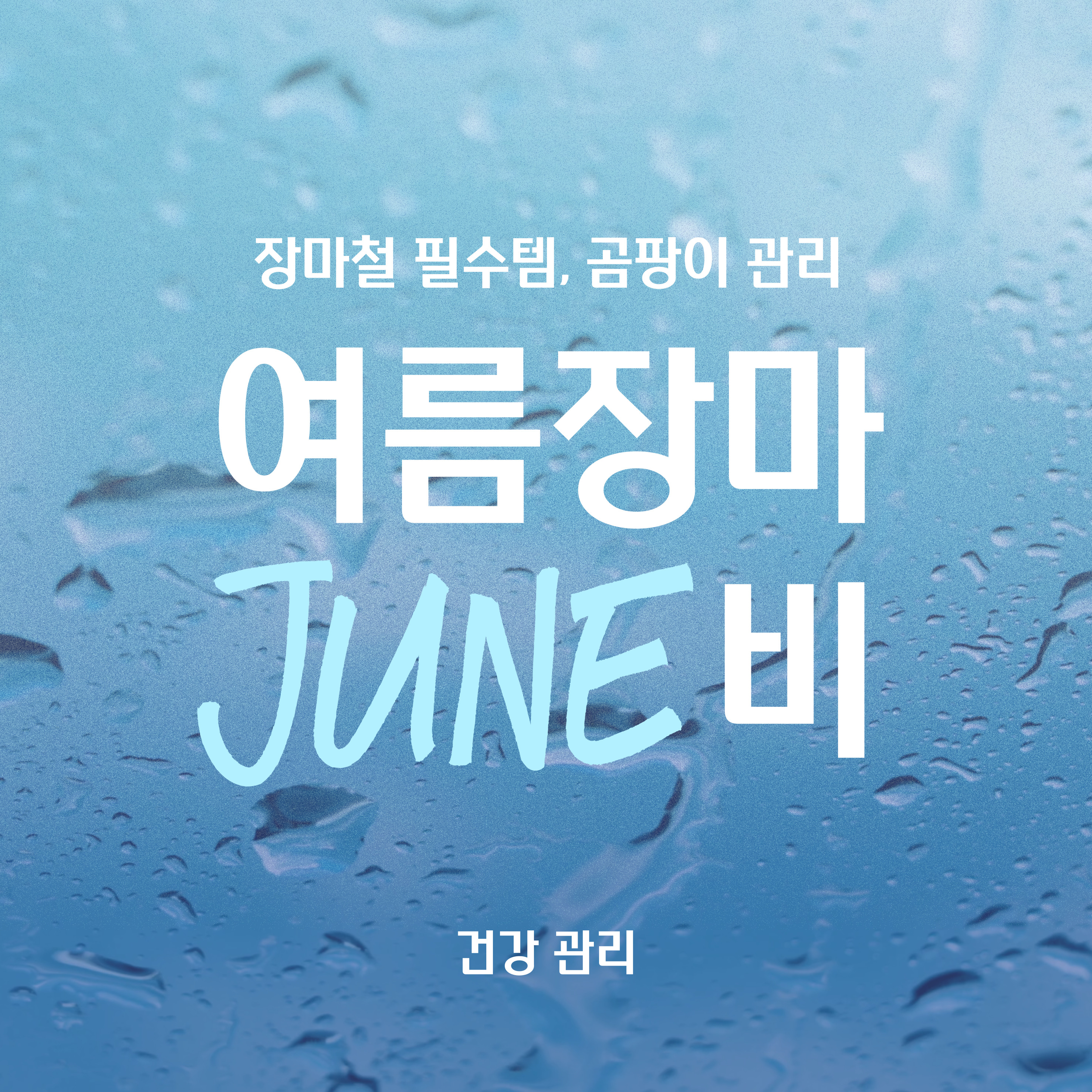 장마철 극한 호우 대비