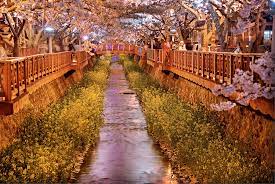 경남 창원 가볼만한곳 베스트 여좌천로망스다리