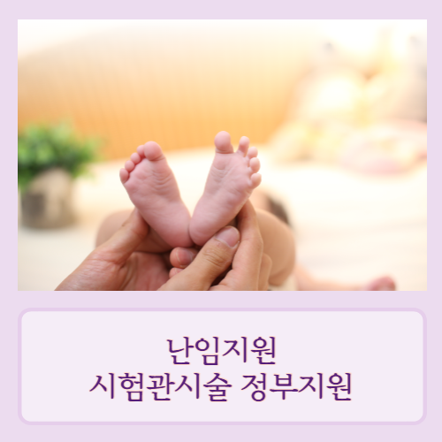 시험관시술정부지원