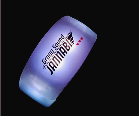 잔나비의 서울 콘서트