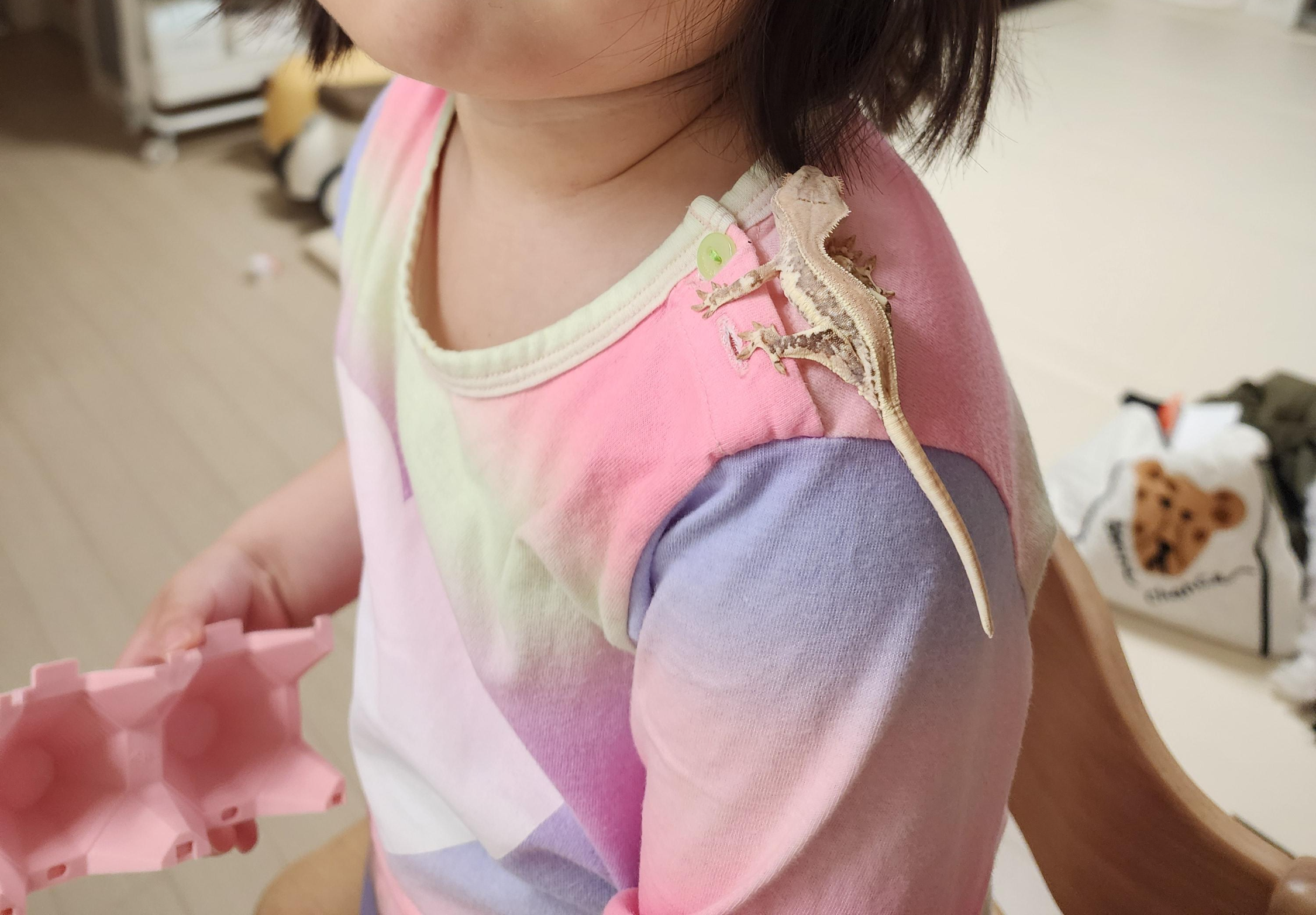 큰-딸-어께-위에-올라가있는-크레