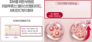 분말 콜라겐