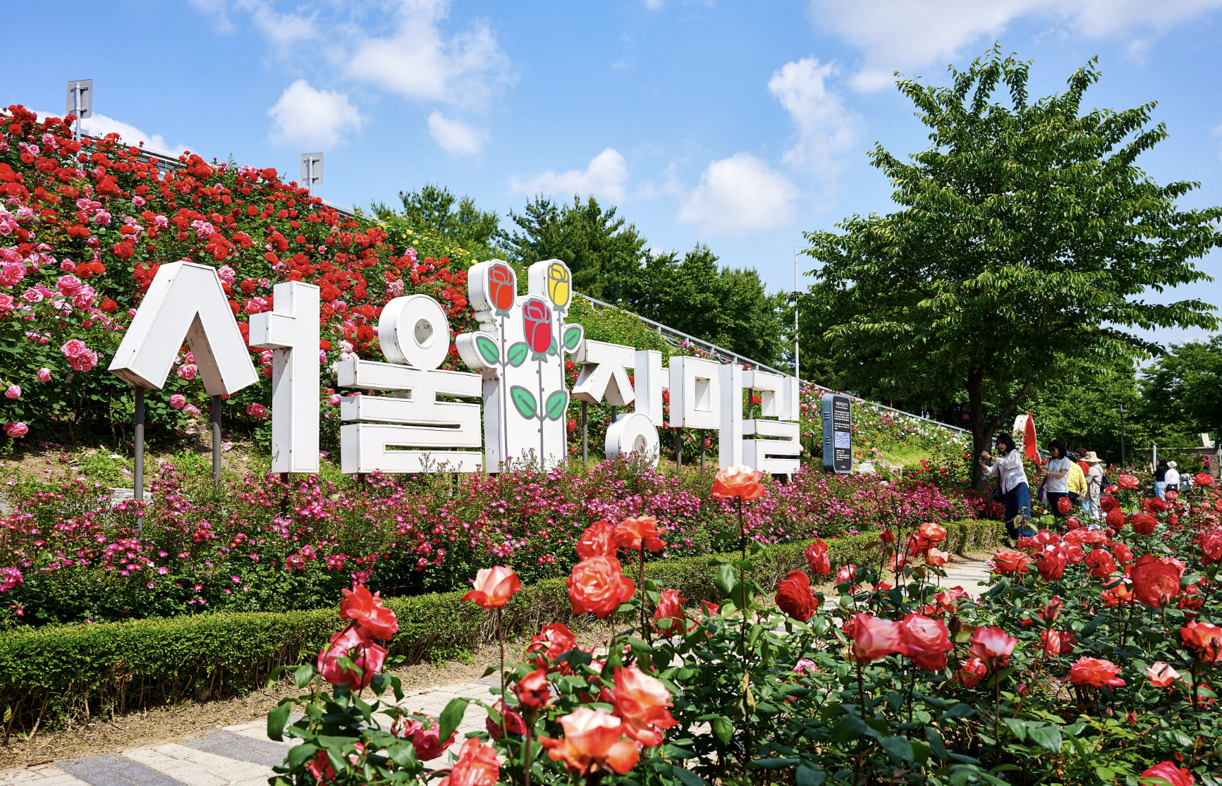 중랑 서울장미축제 포토존