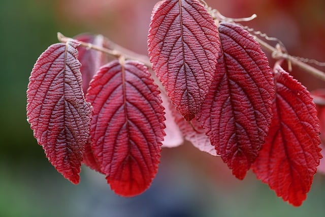 김수미 나이 프로필 정리 ✅
