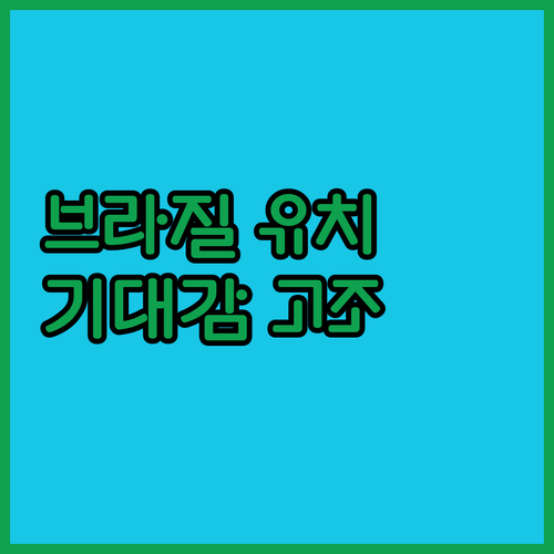 브라질, 바이트댄스 데이터센터 유치 
