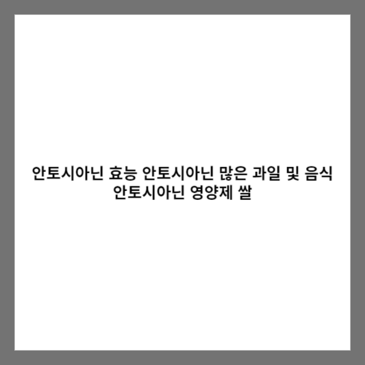 안토시아닌 효능 안토시아닌 많은 과일 및 음식 안토시아닌 영양제 쌀