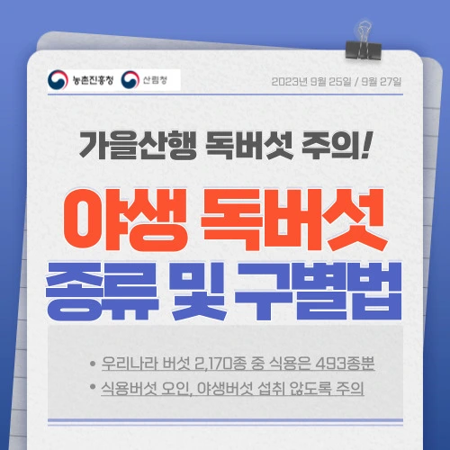 가을철 산행길 주의해야 할 독버섯 종류 사진 이름 및 식용버섯과의 구별법