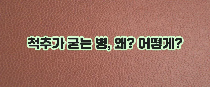 강직성 척추염 증상 원인 그리고 대처가 중요합니다