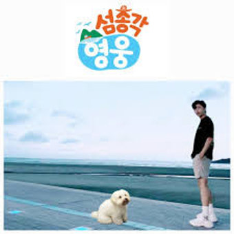 신작예능