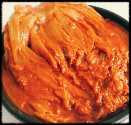 비피더스 B3 김치