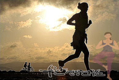 비맥스 메타 가격