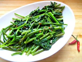 모닝글로리 쇼핑몰 다이어리 달력 수척 필통 추천_10