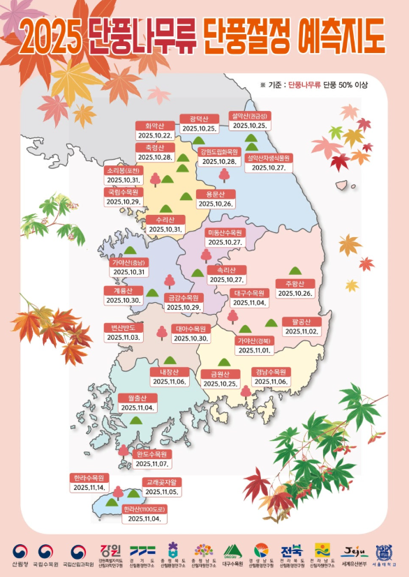 단풍축제 이미지