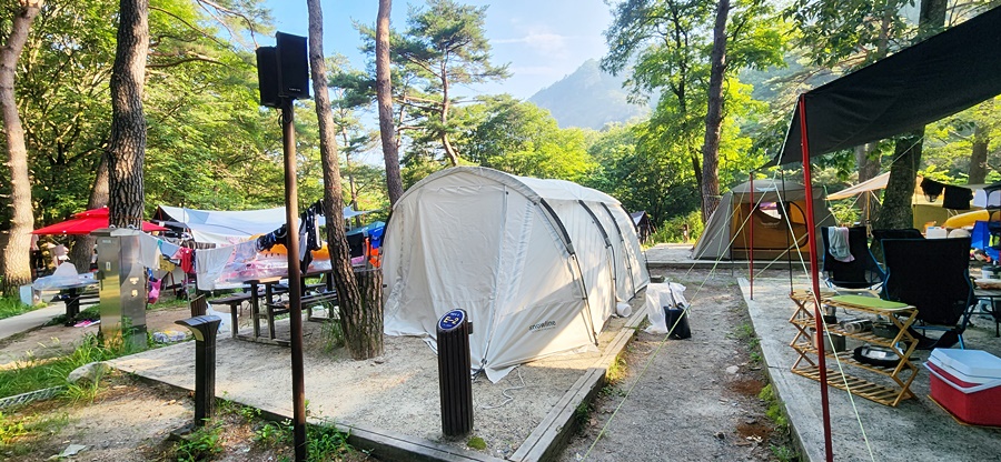 사이트 1/3구간에 나무가 있어 텐트를 찌그러지게 친 미루네