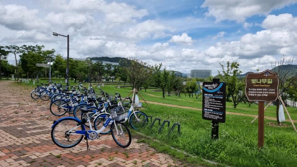 세종 순환코스 자전거길 - 세종의 문화와 자연을 잇는 길