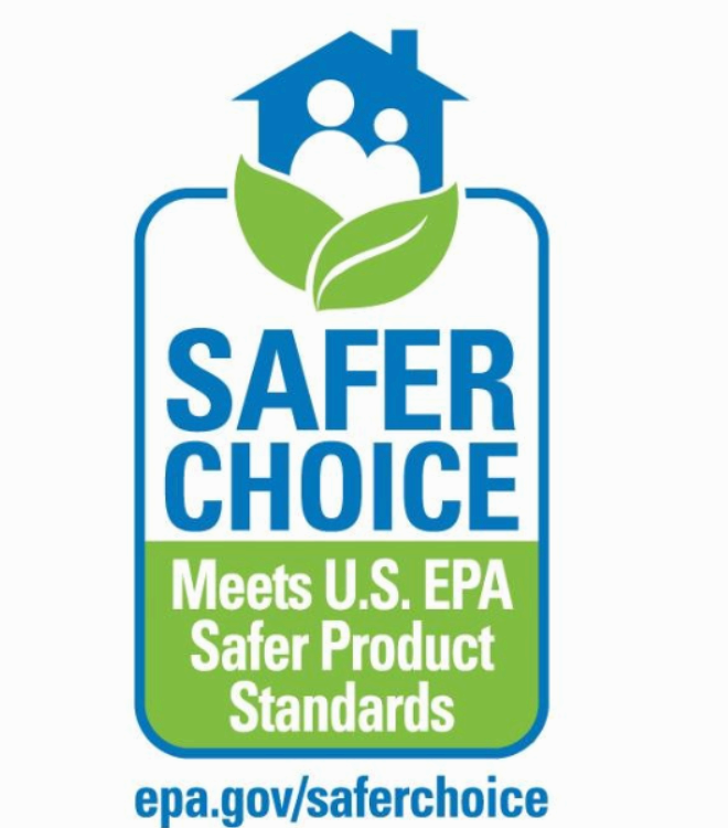 세이퍼초이스 인증마크란? 의미와 장점 완벽 정리