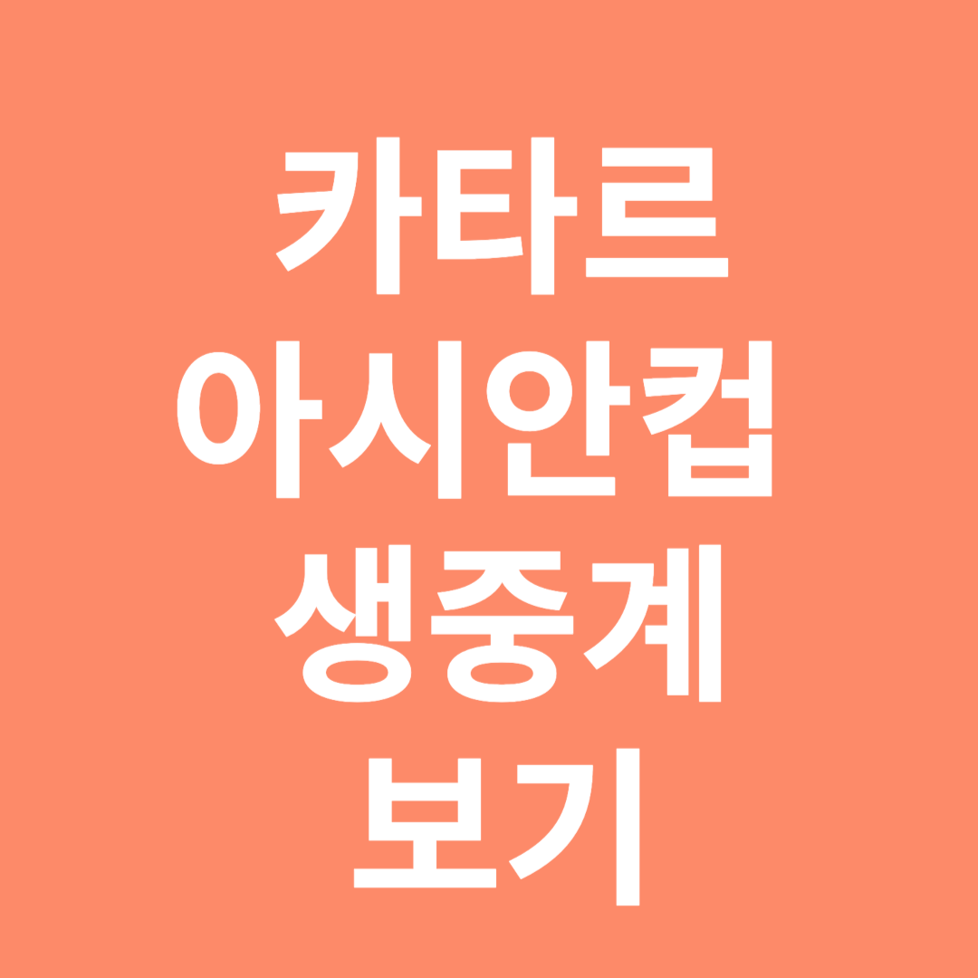 카타르 아시안컵 생중계 보기