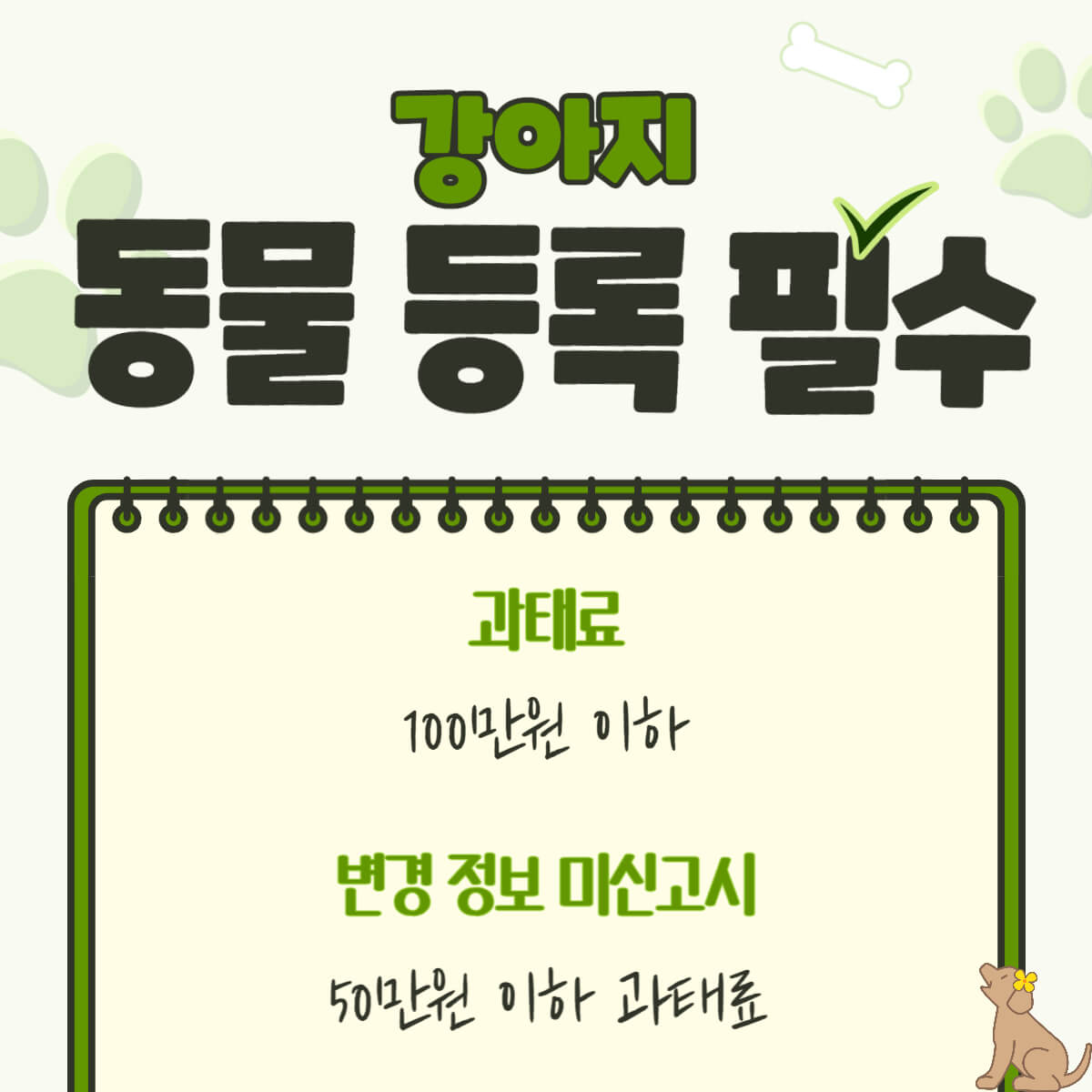 강아지 반려견 동물보호법 벌금 및 과태료 총 정리