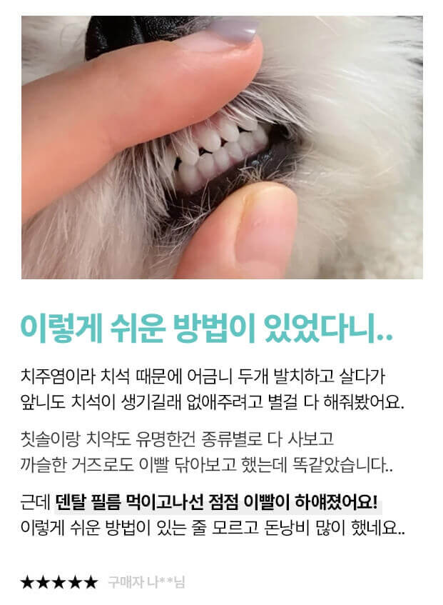 강아지 치석영양제 후기
