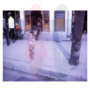 남자 전립선 영양제 추천