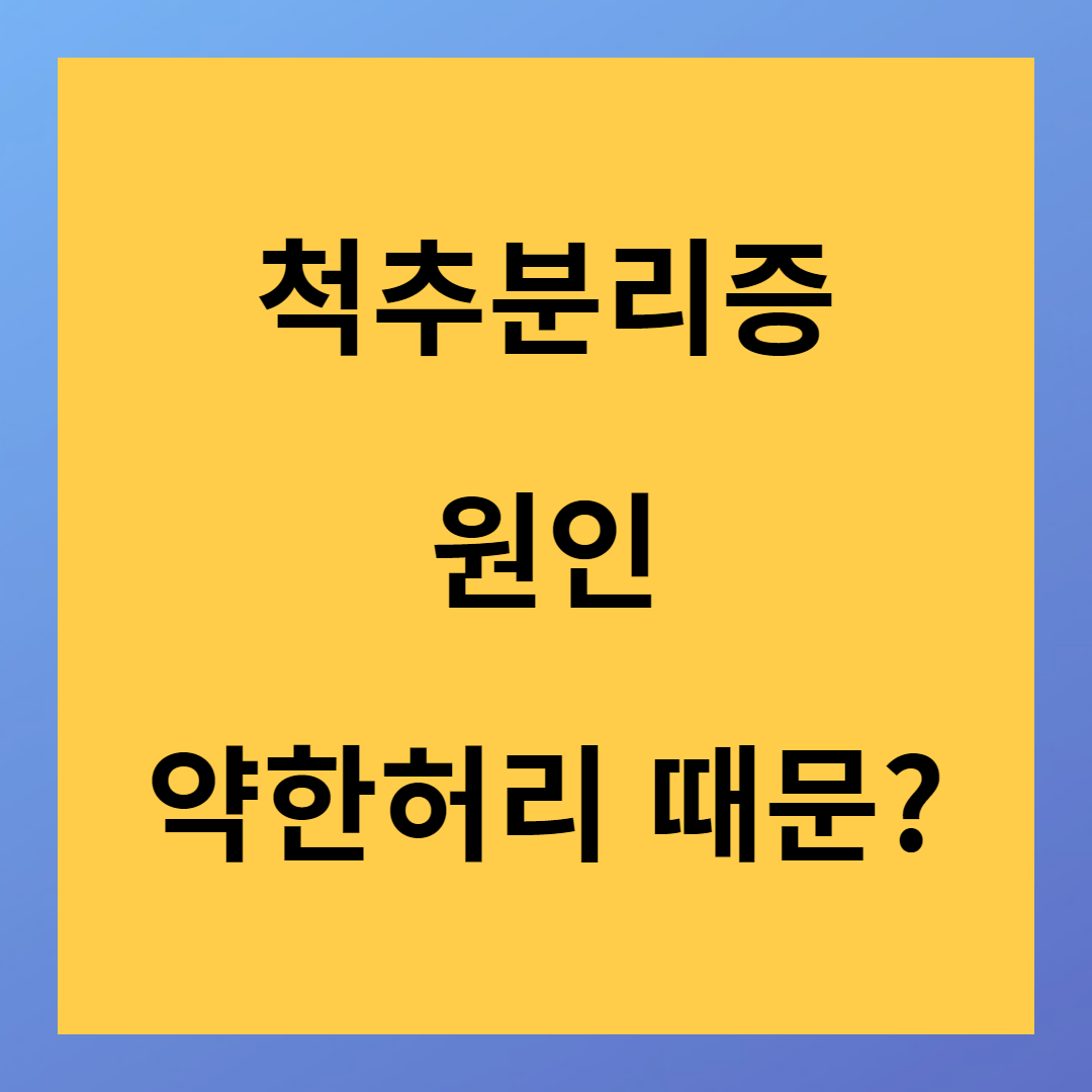 약한 허리 원인은 척추분리증 증상 진단 검사방법
