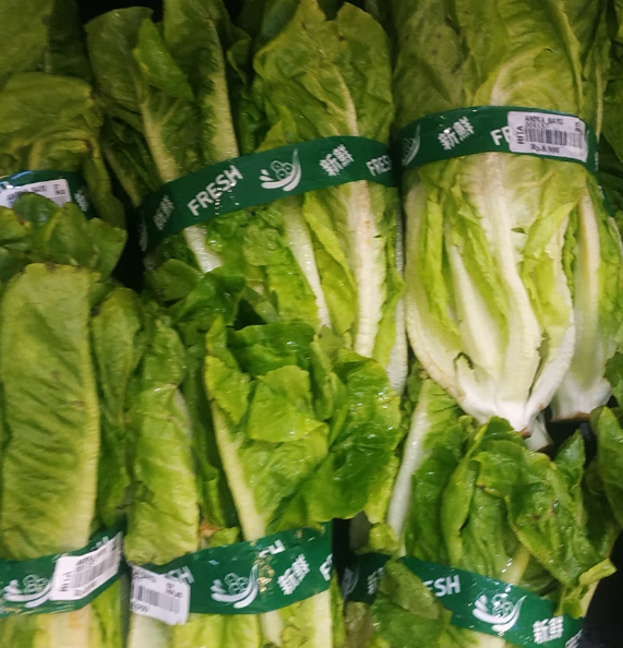 배추 효능 부작용 칼로리