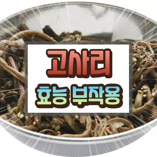 고사리 효능 부작용