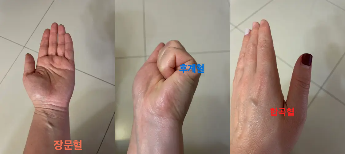 혈자리위치