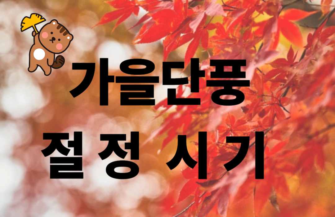 가을 단풍 절정시기