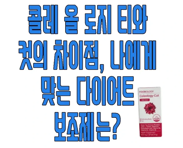 콜레올로지 티와 컷의 차이에 관한 글 보러 가기 링크 사진