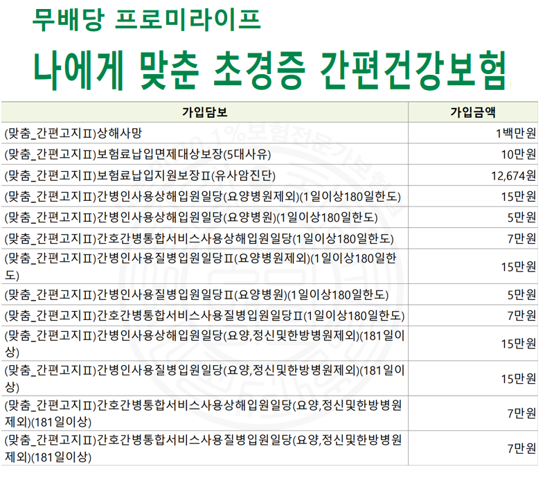 초경증간편건강보험