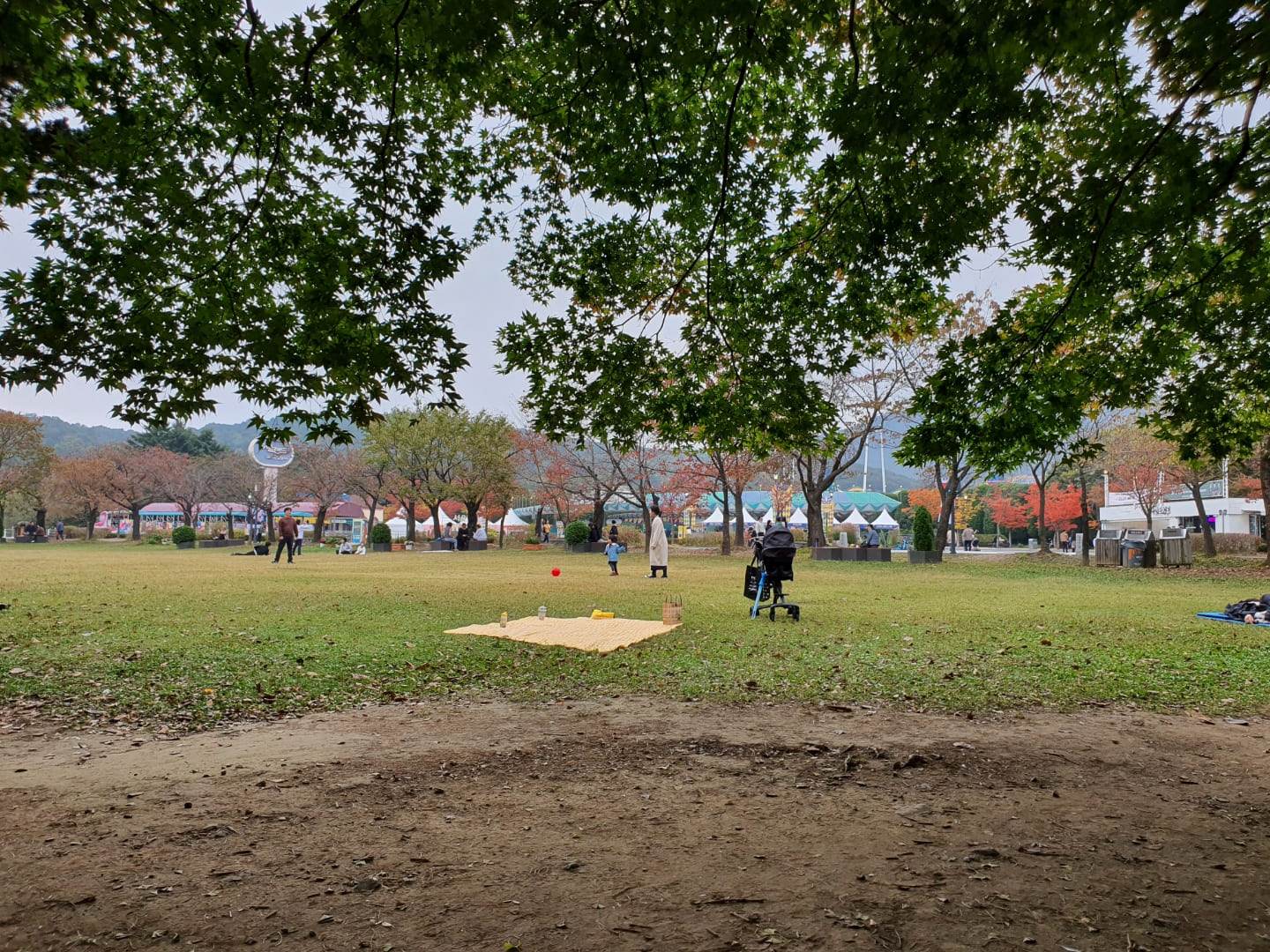 서울대공원 피크닉장