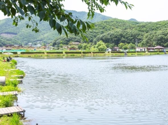 김포 가볼만한곳 베스트 10