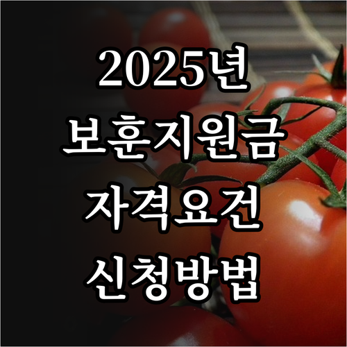 2025년 국가유공자 생계지원금: 자..