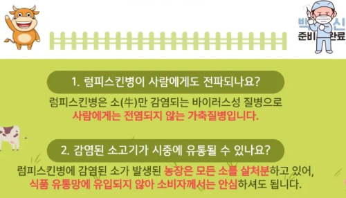 알트태그-럼피스킨병은 사람에게 전염 안 되고 먹어도 안전하다는 안내문