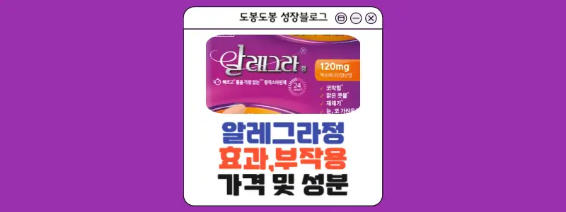 알레그라정 안내 이미지