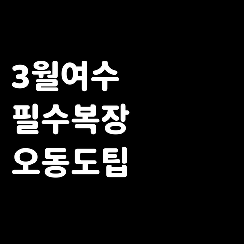 3월 여수 여행 준비물 복장부터 오동..