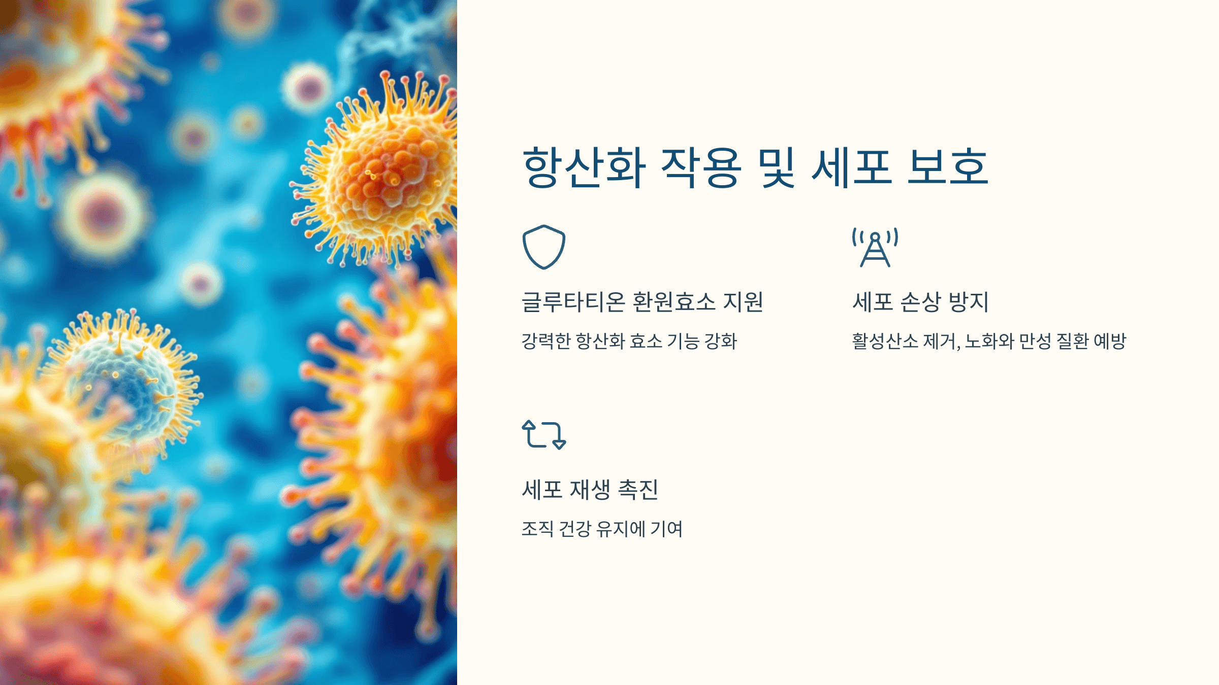 리보플라빈과 관련된 사진입니다.